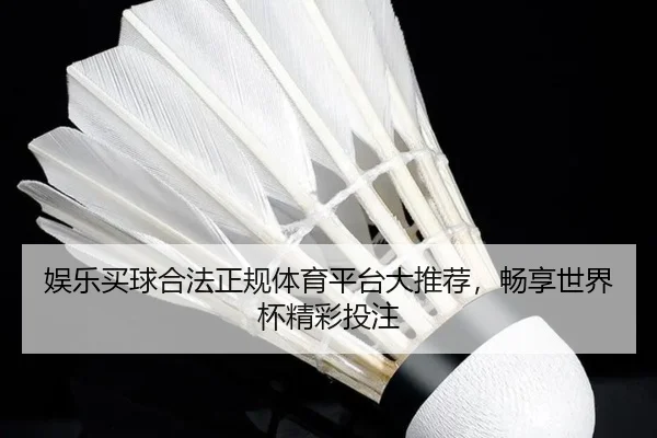 娱乐买球合法正规体育平台大推荐，畅享世界杯精彩投注